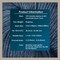 KnitPro Symfonie Premium Hand-Dyed Merino Wool & Polyamide Sock Yarns|Terra